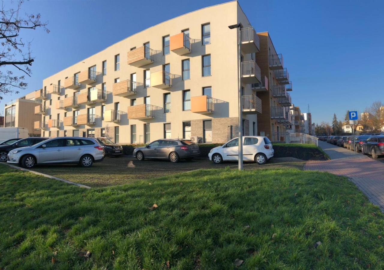 Gingerbread Apartment Stary Toruń Kültér fotó